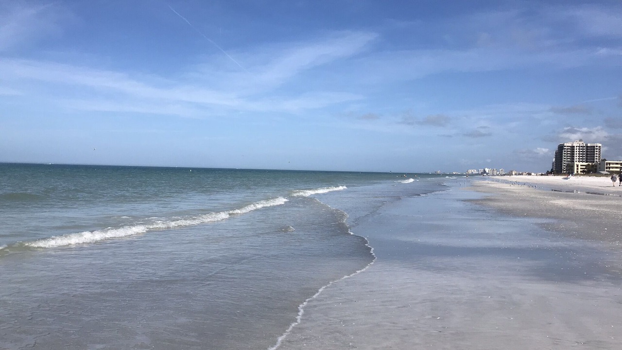Photo of Others in Sand Key