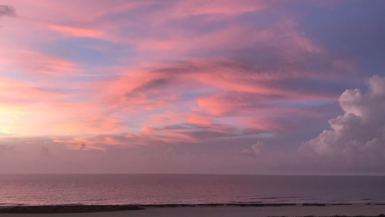 Photo of Others in Sand Key