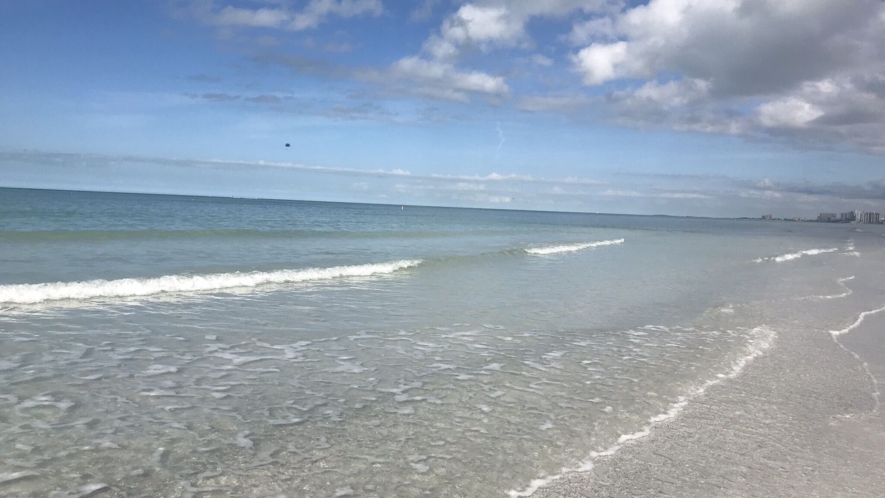 Photo of Others in Sand Key