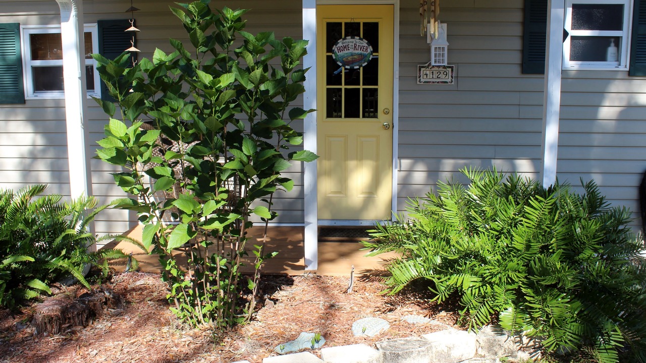 Photo of Others in Dunnellon