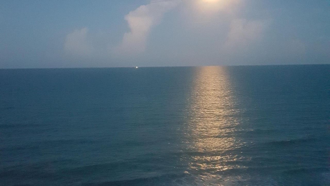Photo of Others in Gulfstream Beach