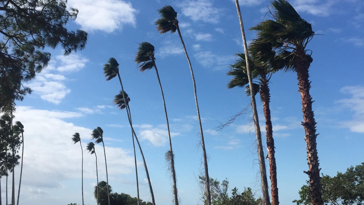 Photo of Others in Crystal Beach