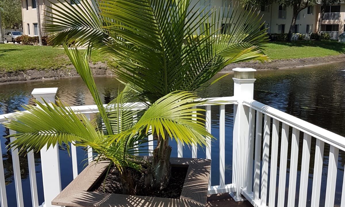 Photo of Outdoor in Trailer Estates