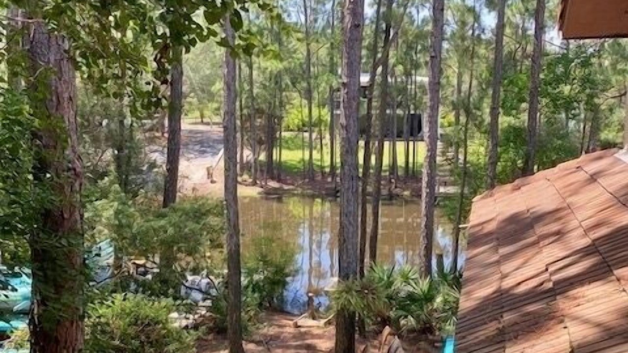Photo of Outdoor in Seagrove Beach