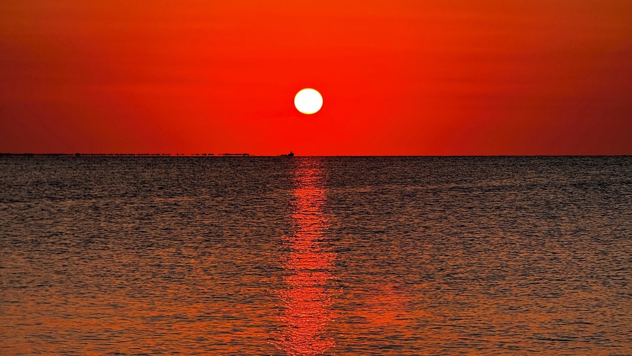 Photo of Others in Key Largo