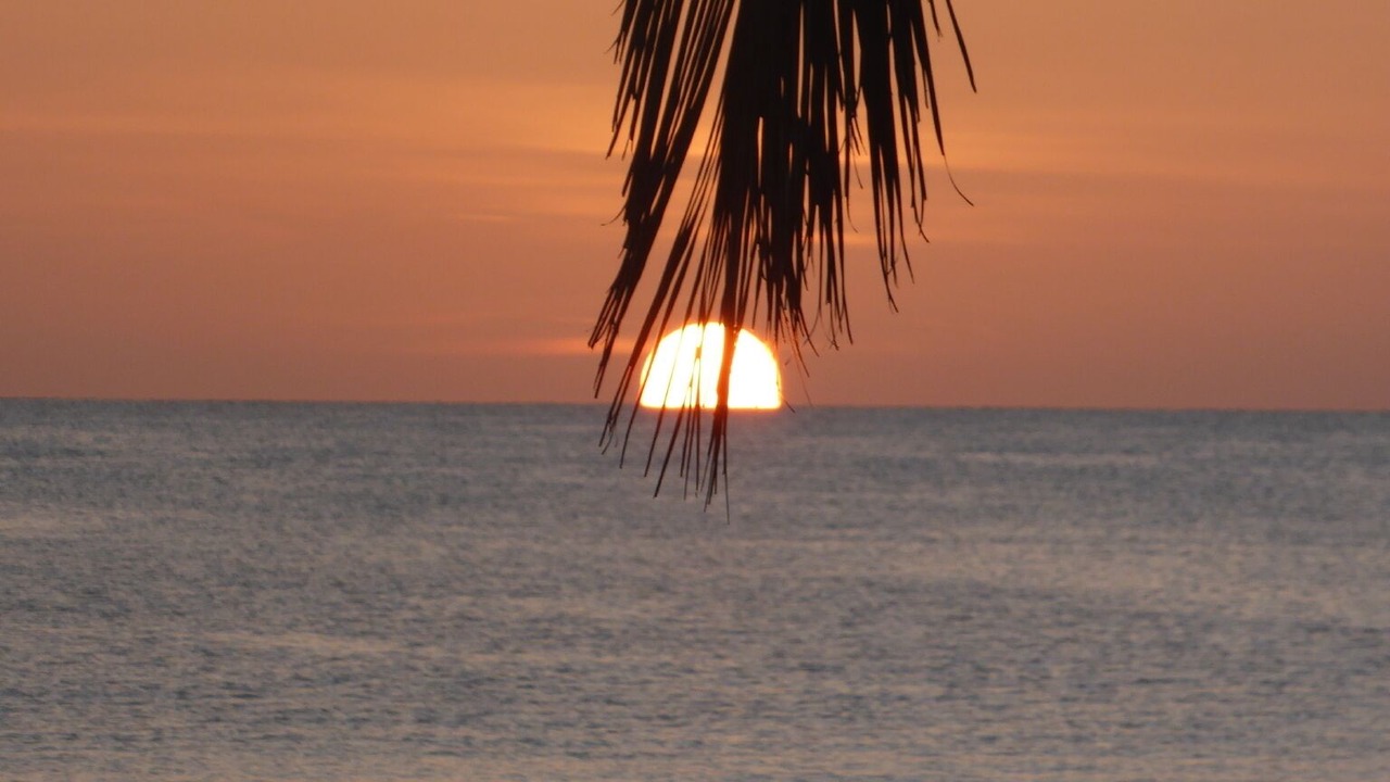 Photo of Others in Key Largo
