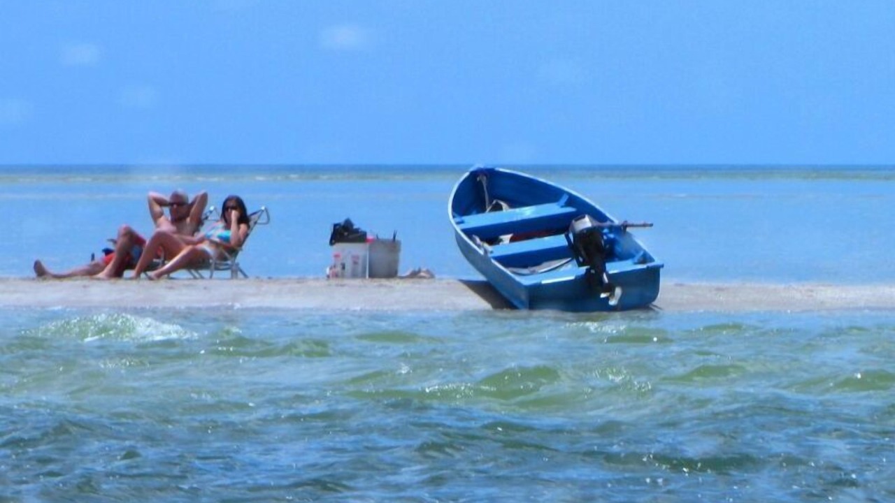 Photo of Others in Siesta Key