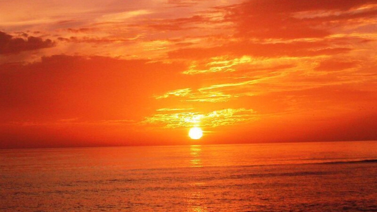 Photo of Others in Siesta Key