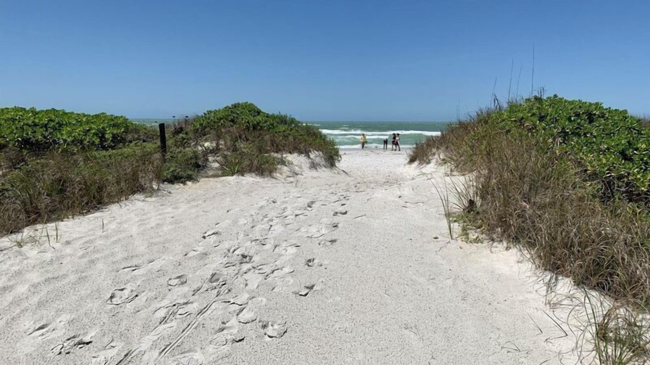 Photo of Others in Siesta Key