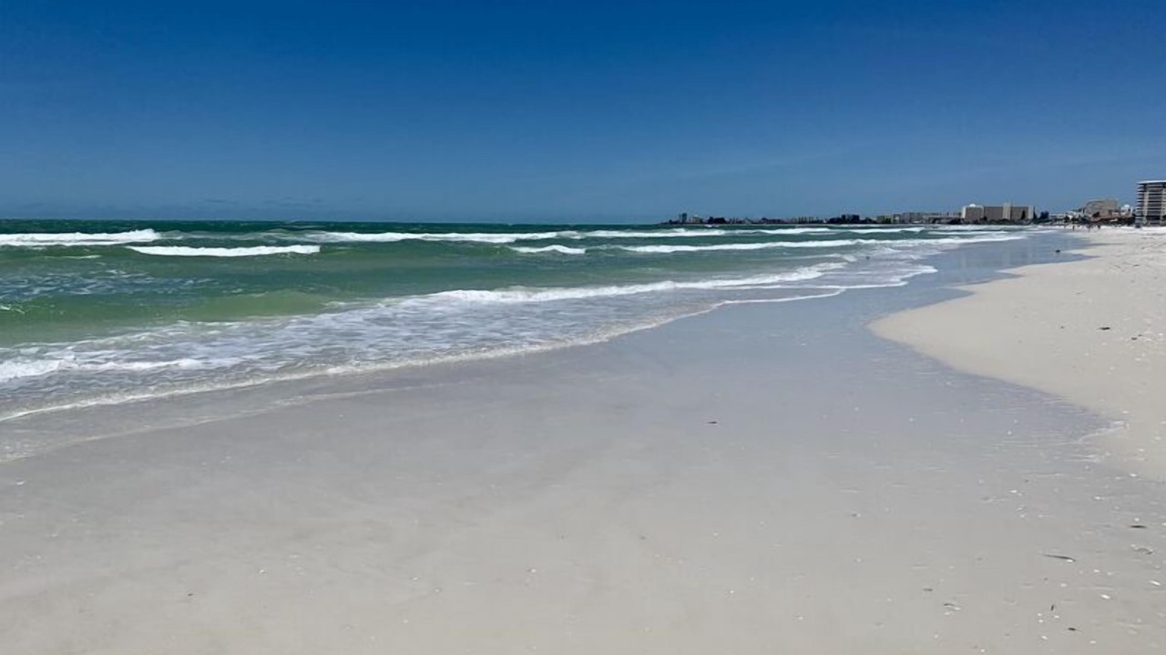 Photo of Others in Siesta Key