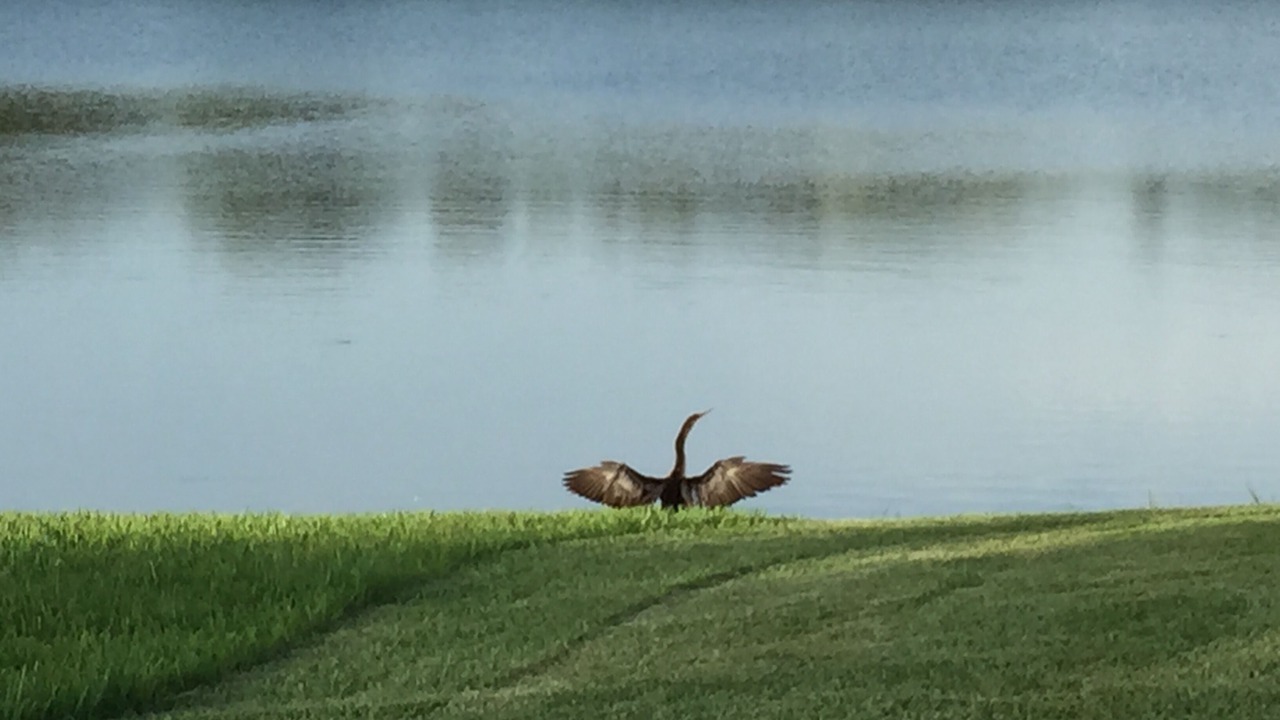 Photo of Outdoor in Brandon