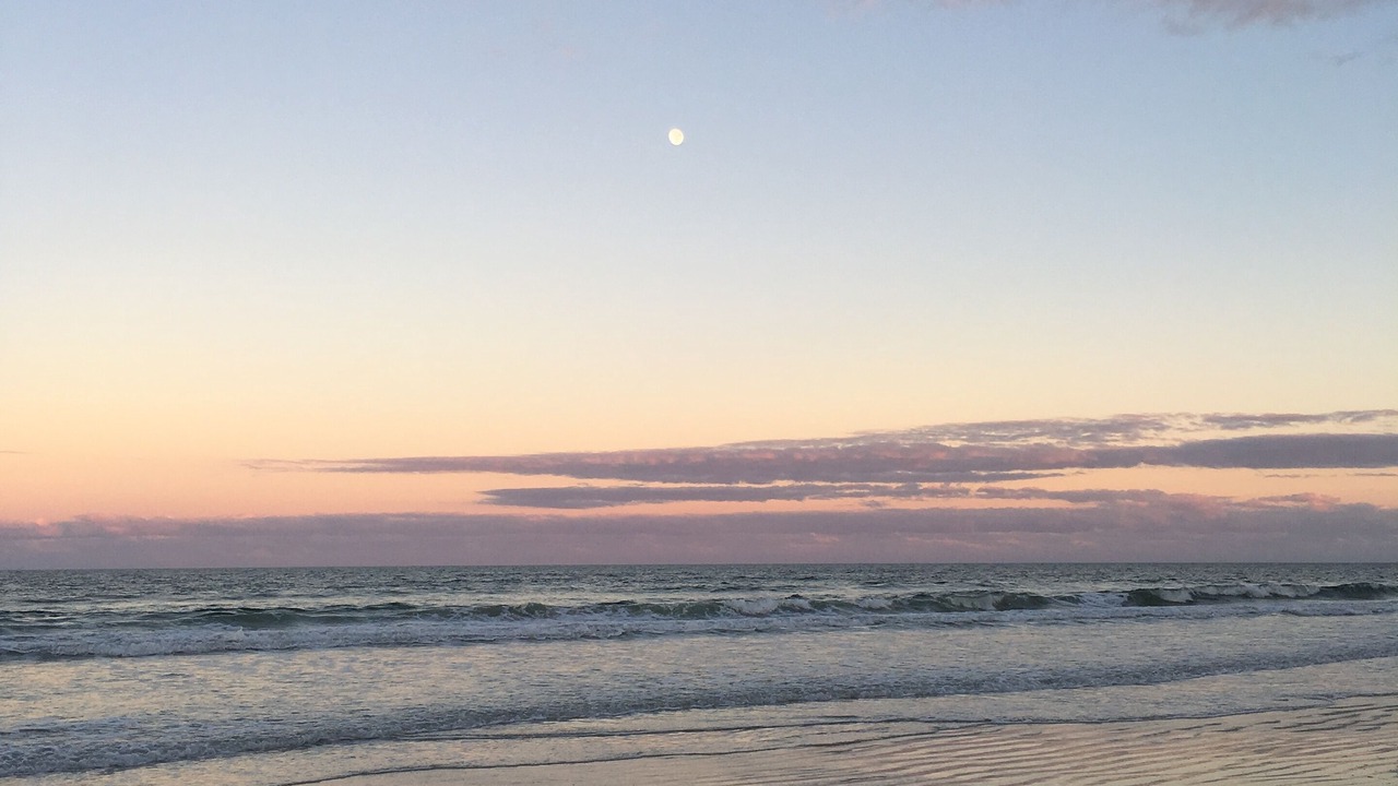 Photo of Others in Daytona Beach