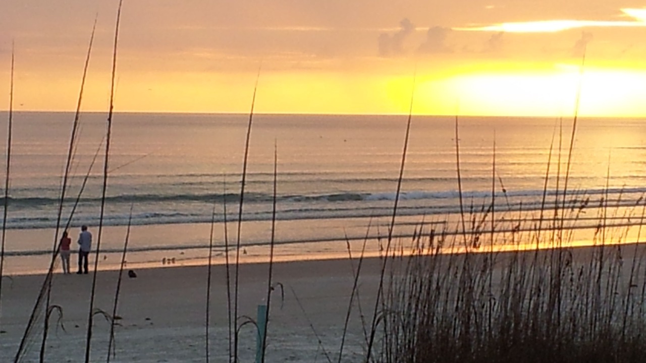 Photo of Others in New Smyrna Beach