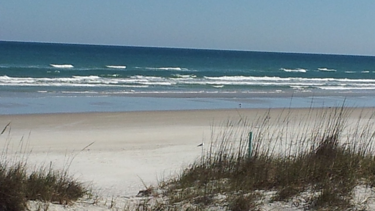 Photo of Others in New Smyrna Beach