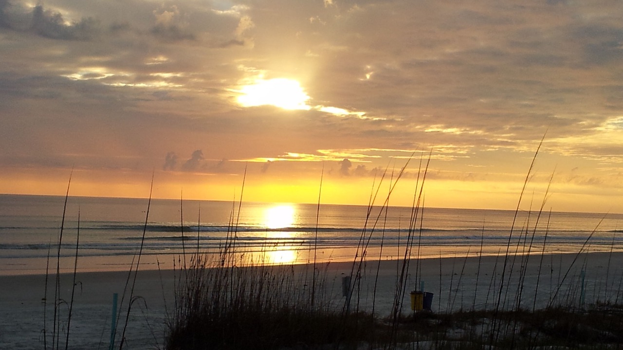 Photo of Others in New Smyrna Beach