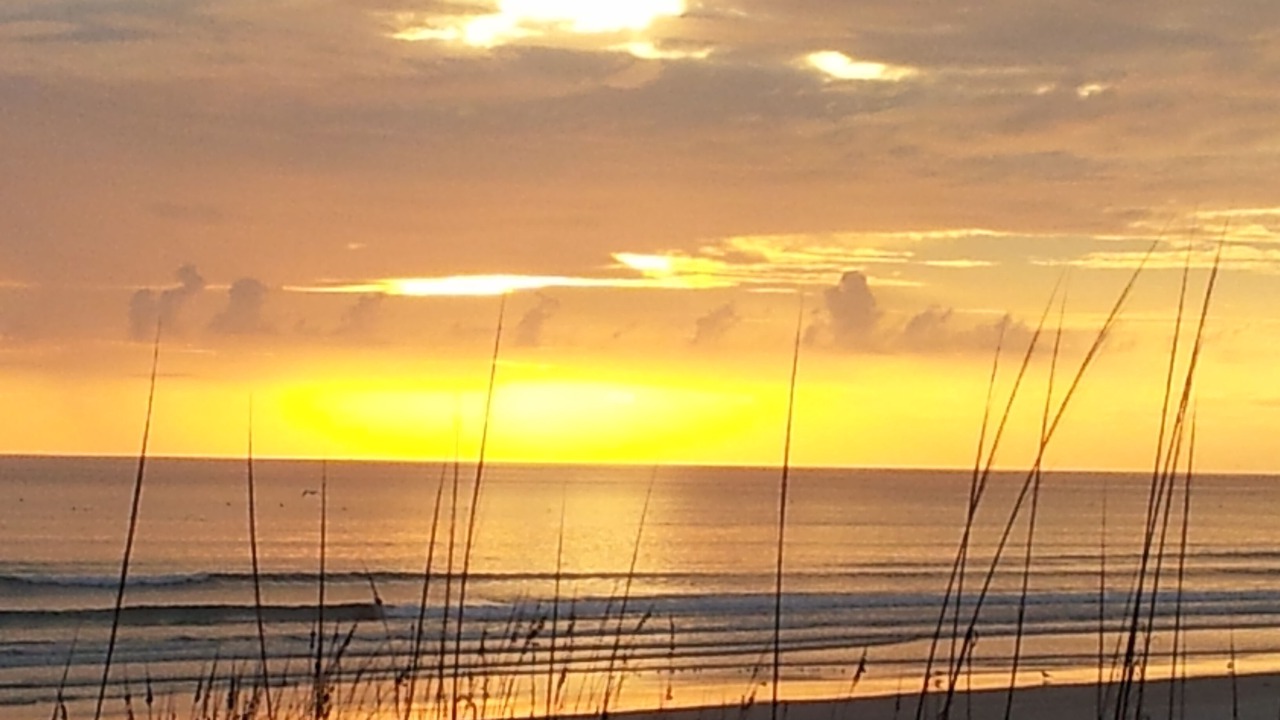 Photo of Others in New Smyrna Beach