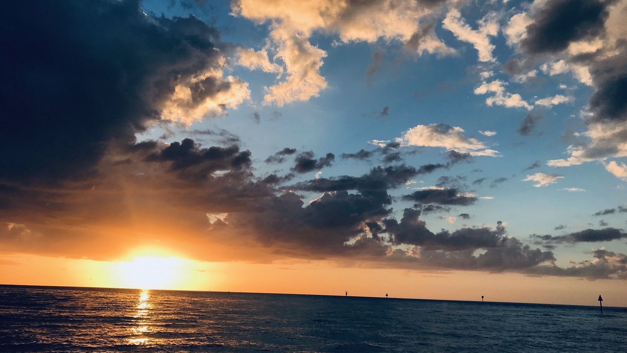 Photo of Others in East Naples