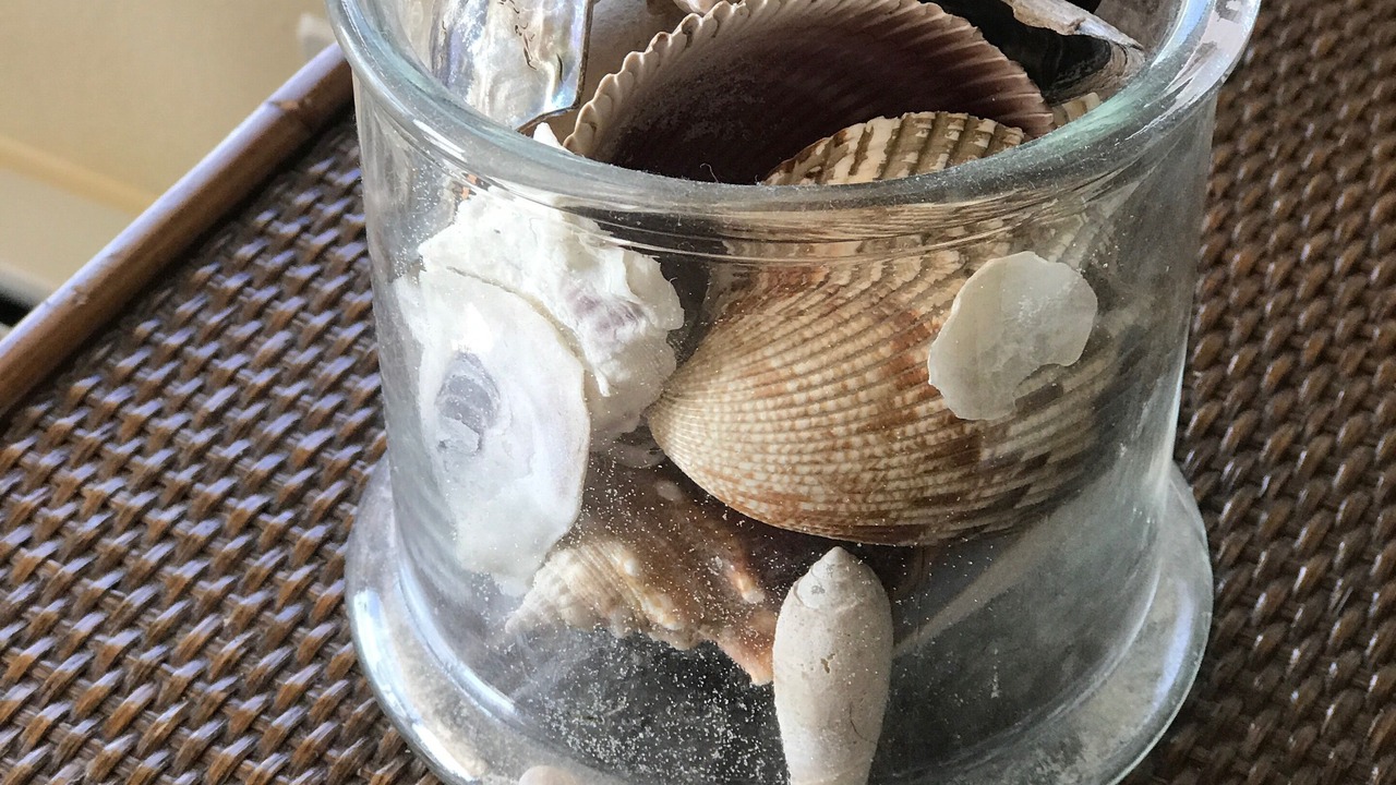 Photo of Others in Fort Myers Beach