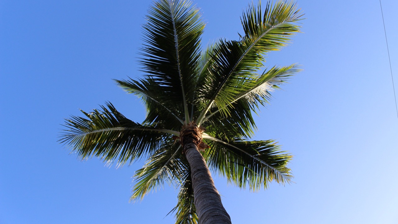 Photo of Outdoor in Delray Beach