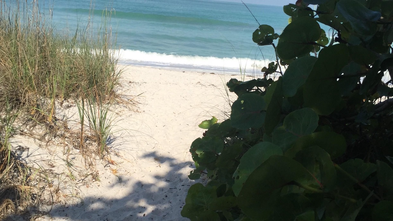 Photo of Others in Boca Grande