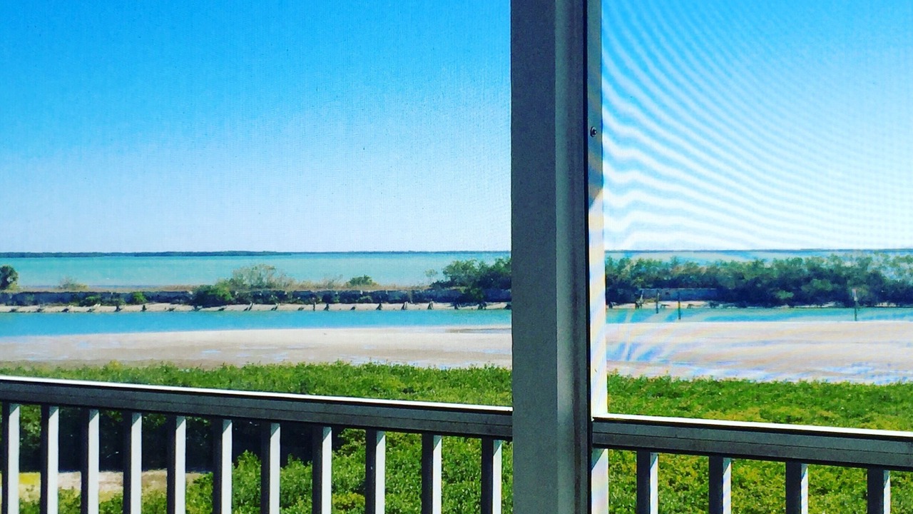 Photo of Others in Boca Grande