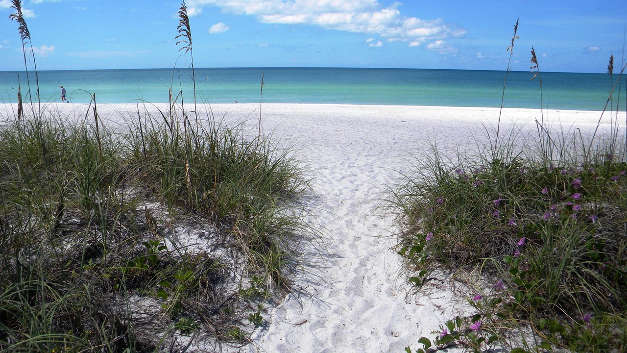 Photo of Others in Holmes Beach