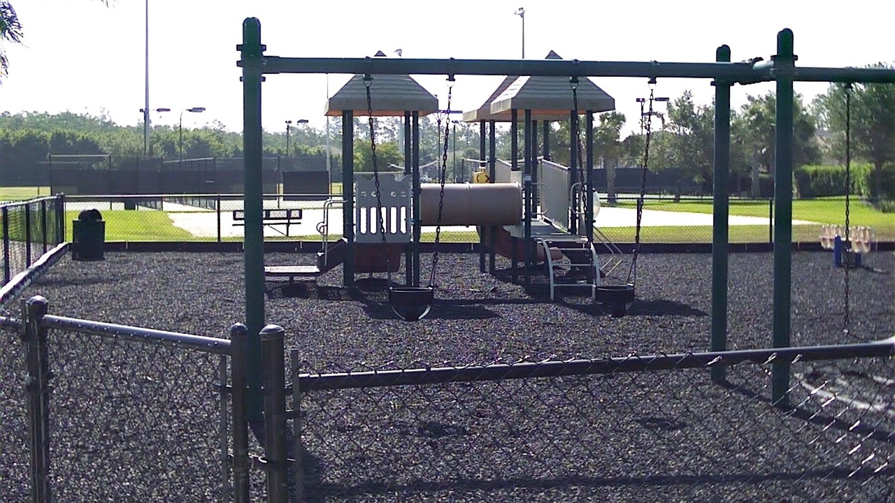 Photo of Others in Stoneybrook