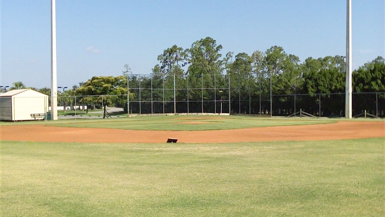 Photo of Others in Stoneybrook