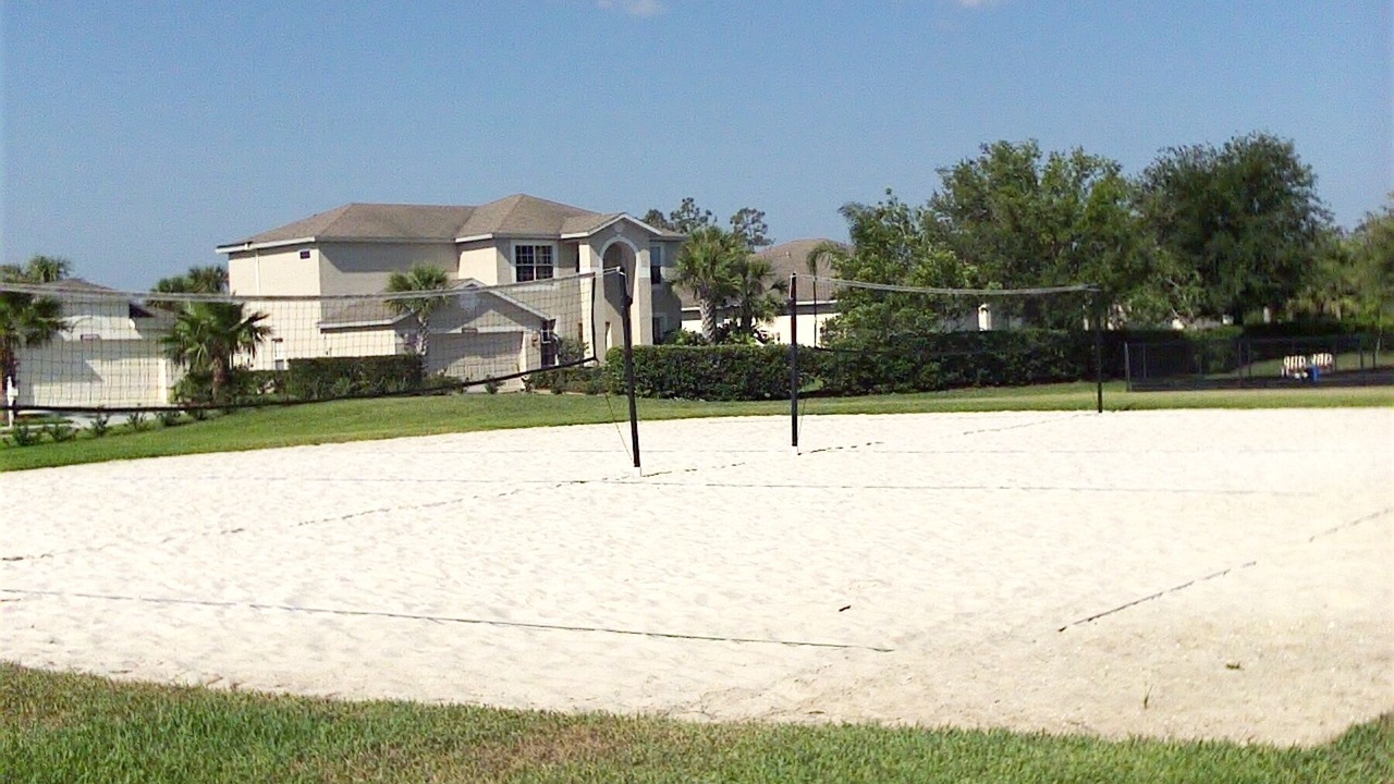 Photo of Others in Stoneybrook