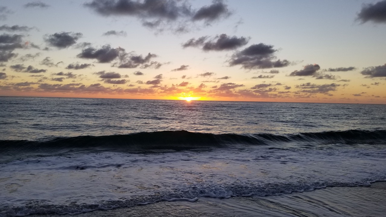 Photo of Others in Delray Beach