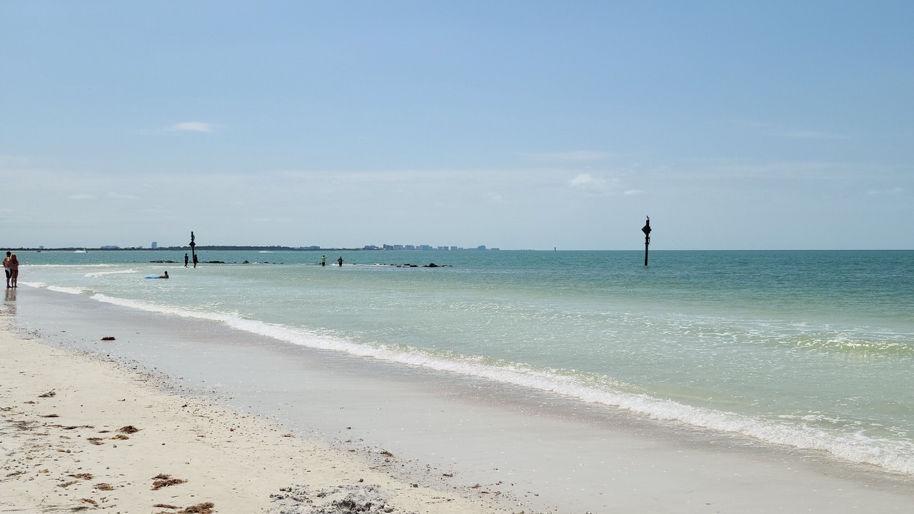 Photo of Others in Clearwater
