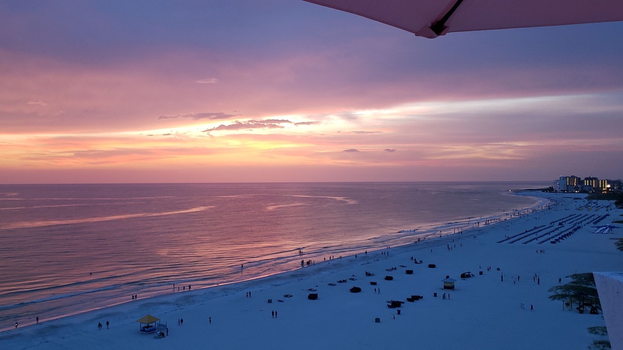 Photo of Others in Clearwater