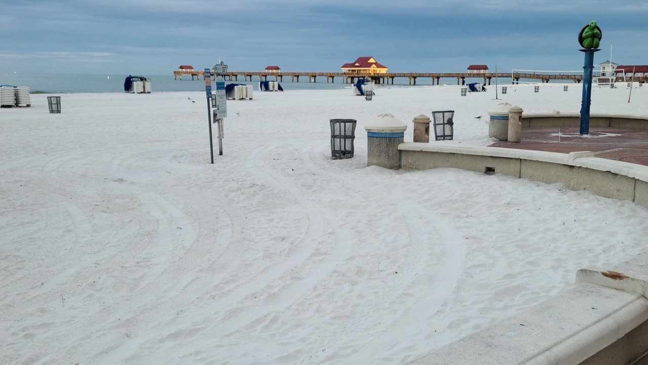 Photo of Others in Clearwater