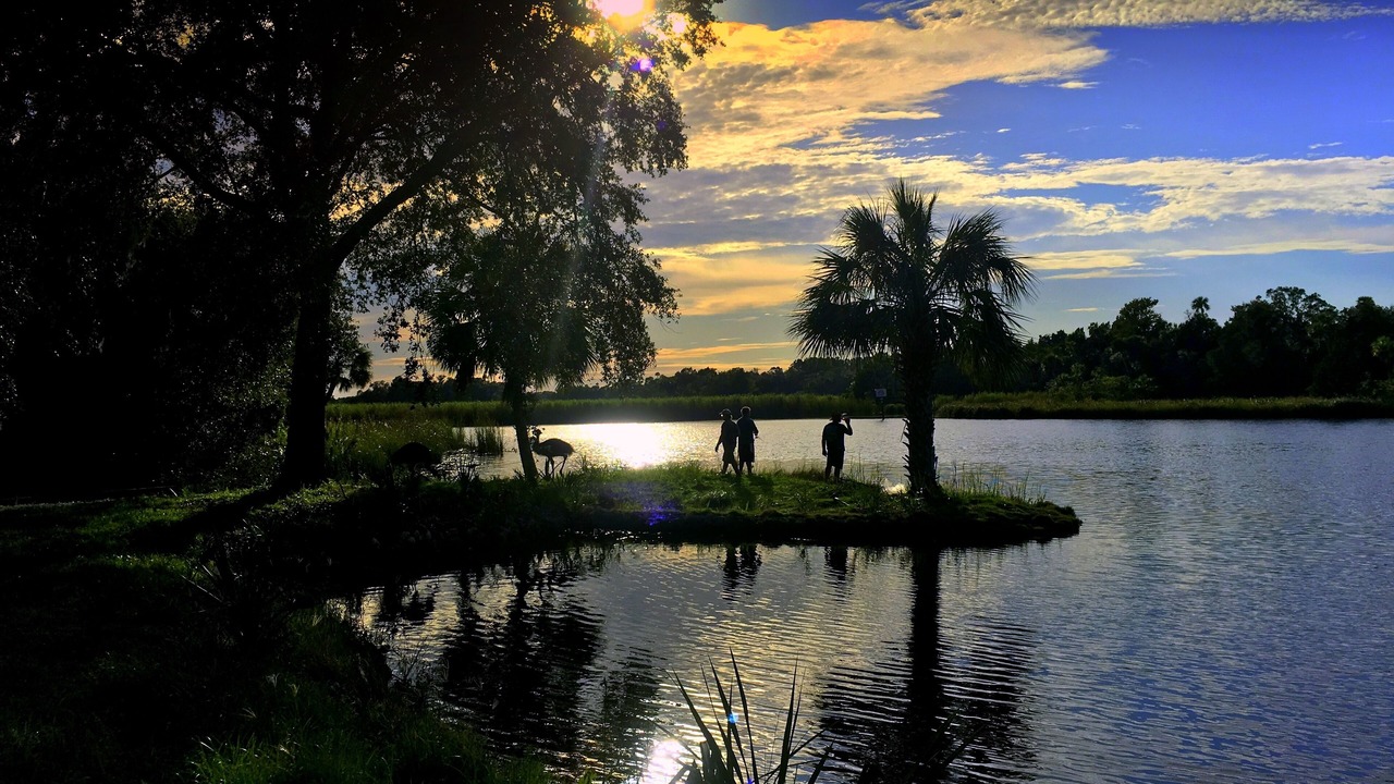 Photo of Others in Homosassa