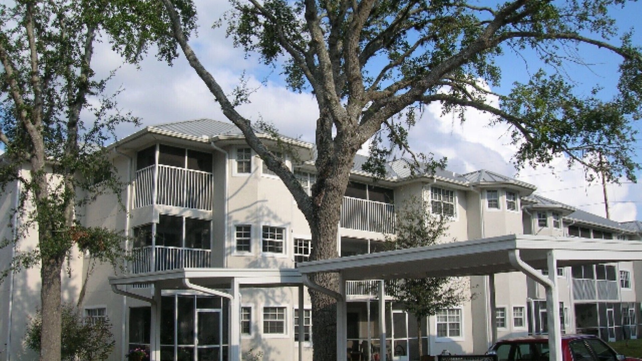 Photo of Outdoor in Lutz
