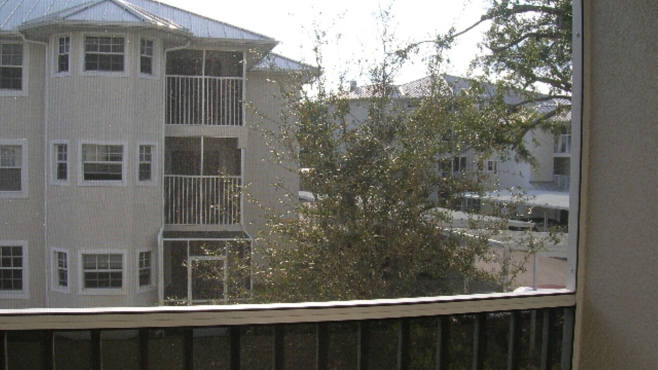 Photo of Others in Lutz