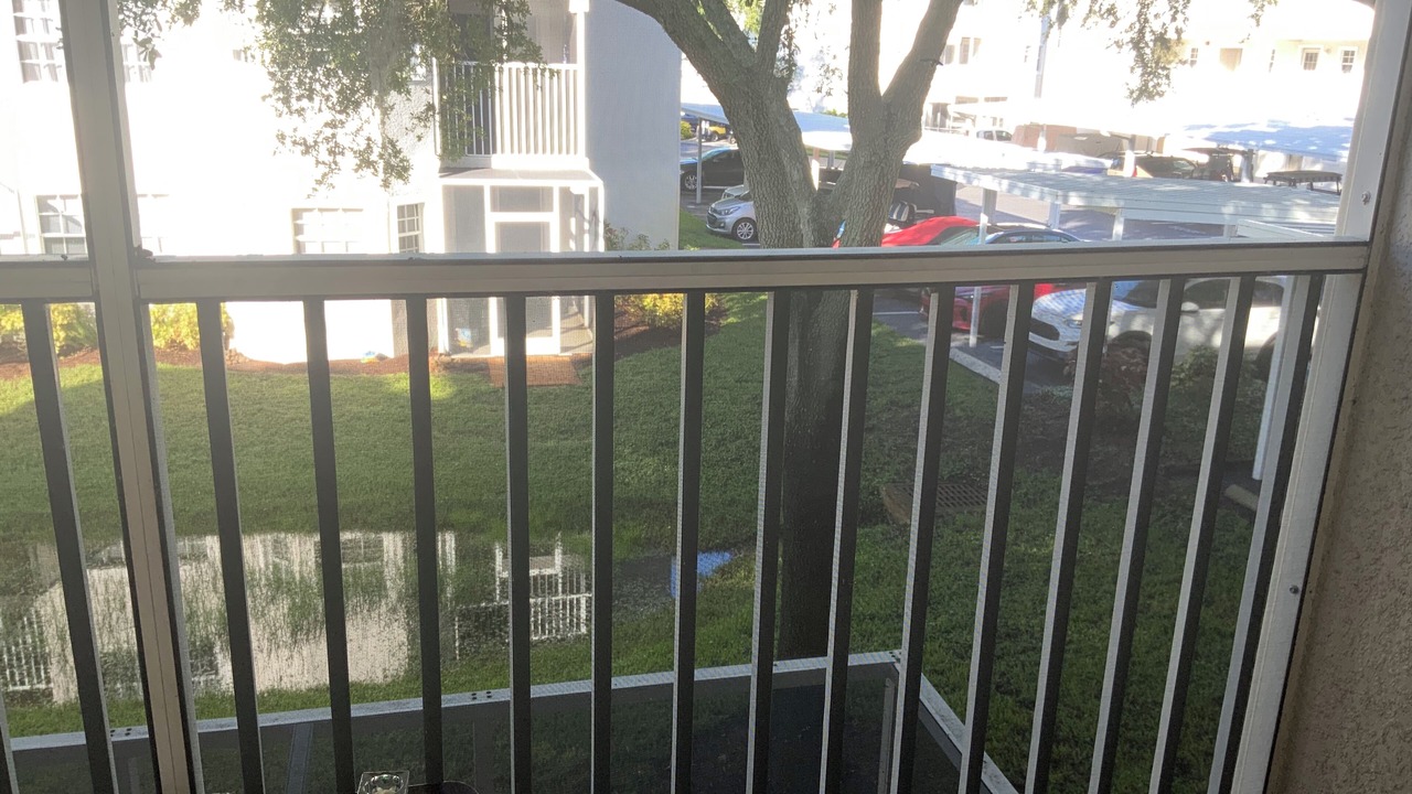 Photo of Outdoor in Lutz