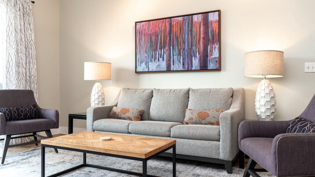 Photo of Livingroom in Asheville