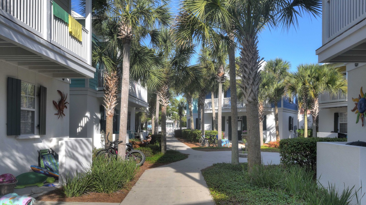 Photo of Outdoor in Seagrove Beach