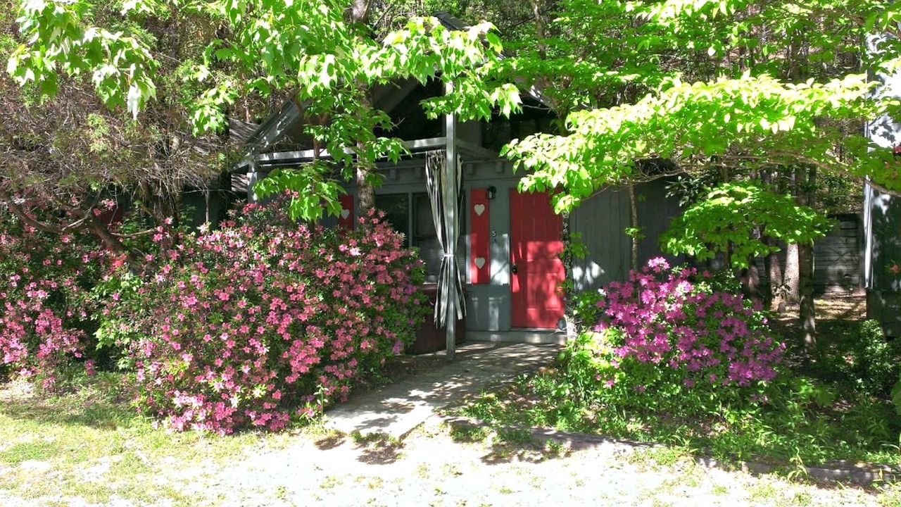 Photo of Others in Sautee Nacoochee