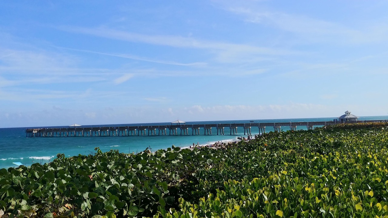 Photo of Others in Jupiter