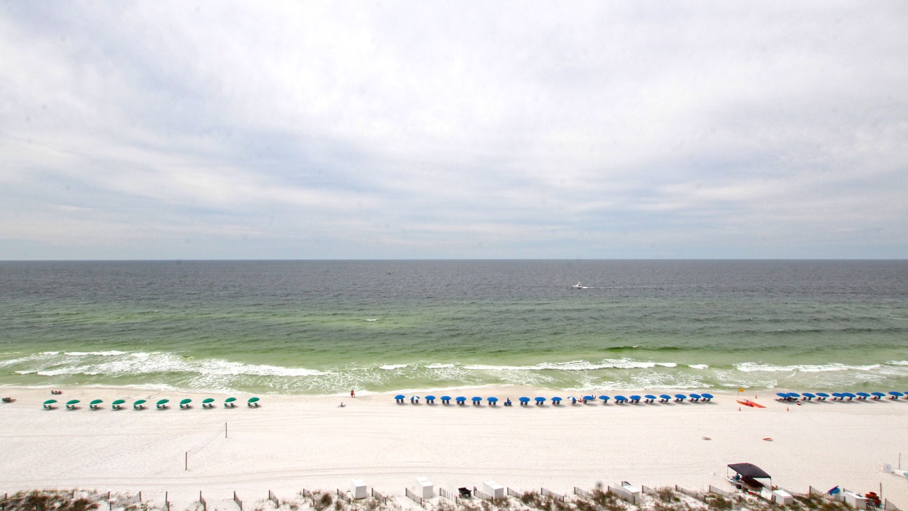 Photo of Others in Destin