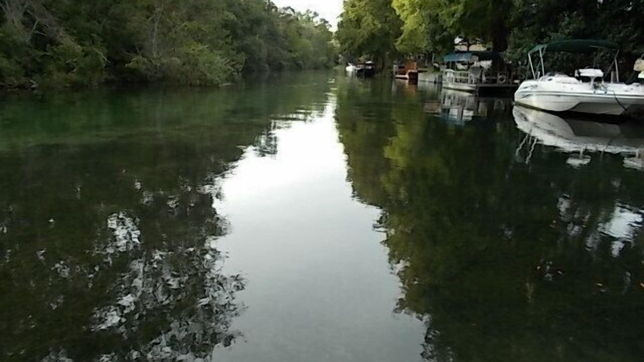 Photo of Others in Weeki Wachee Gardens