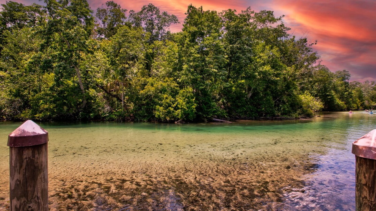 Photo of Others in Weeki Wachee Gardens
