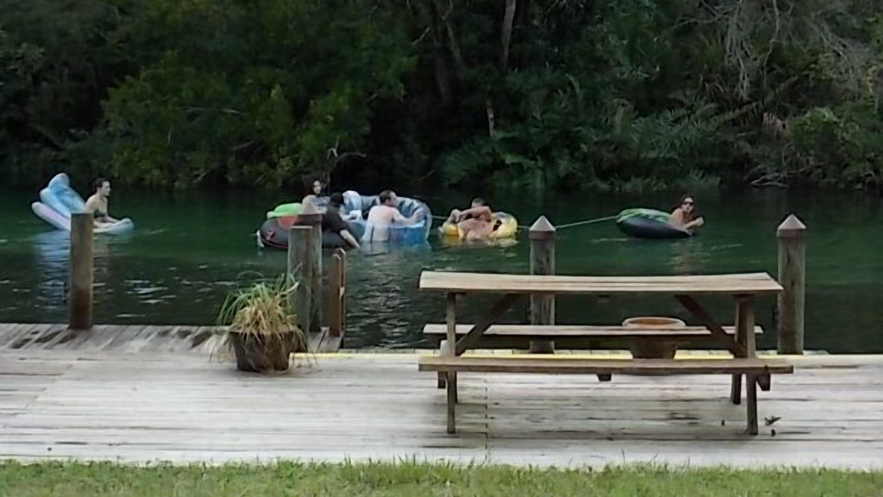 Photo of Others in Weeki Wachee Gardens