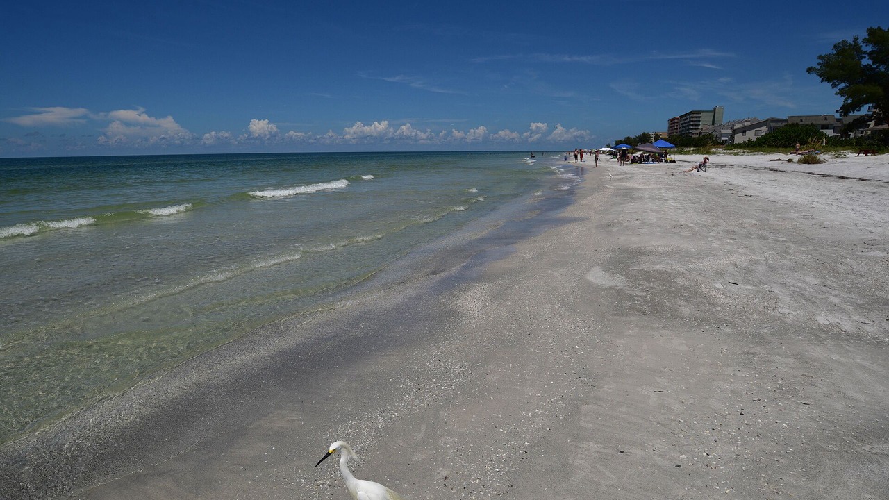 Photo of Others in Indian Shores