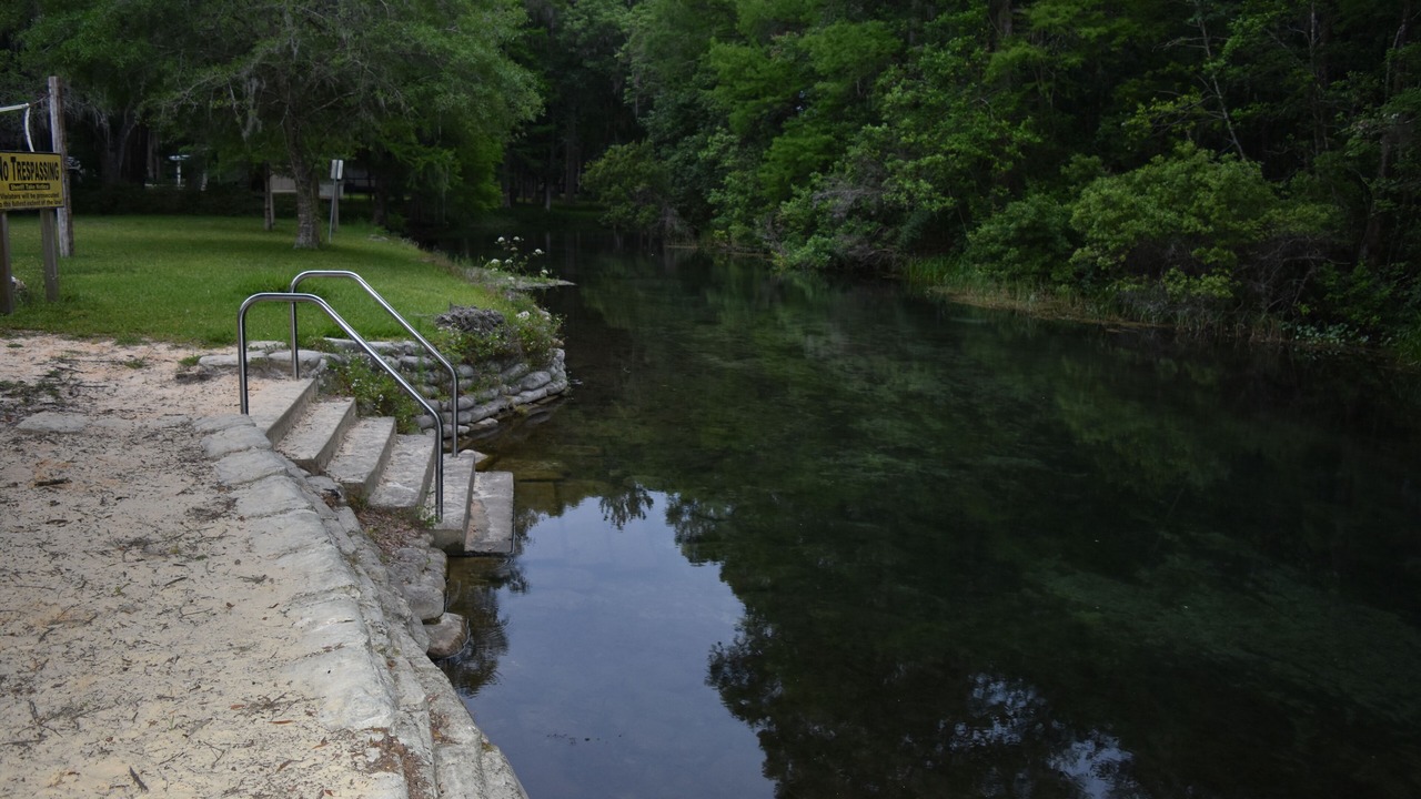 Photo of Others in Dunnellon