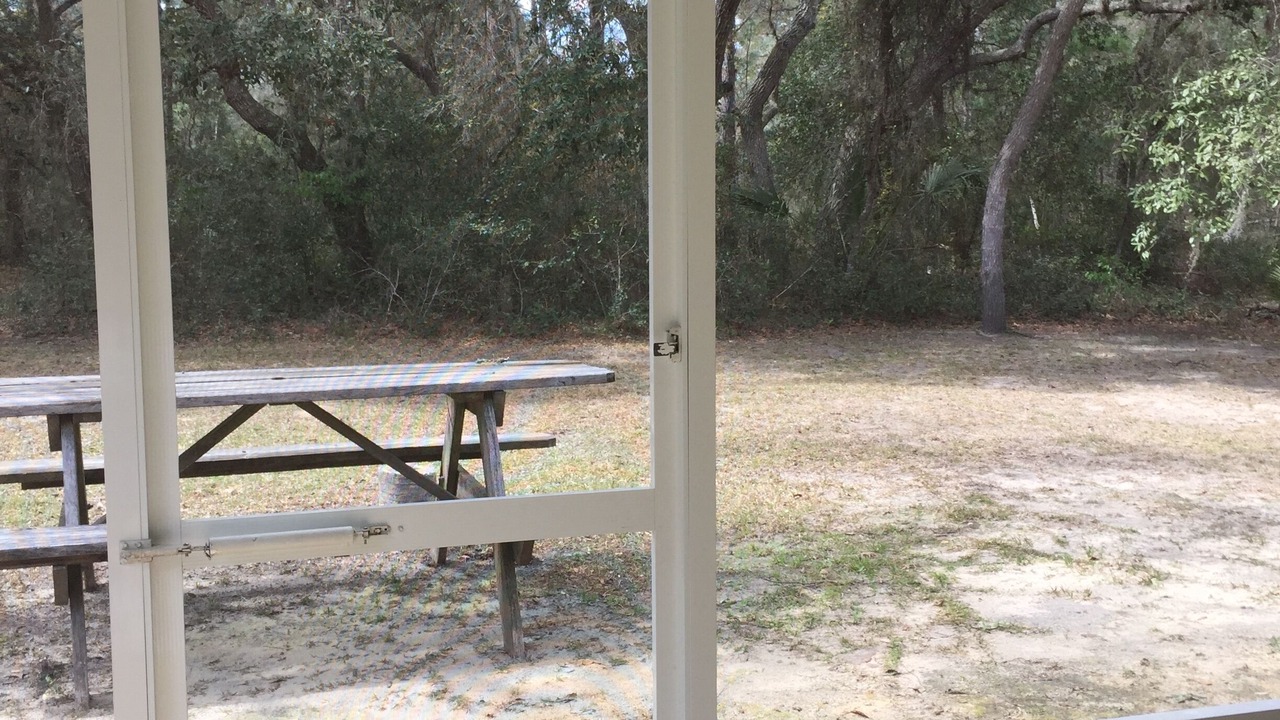 Photo of Others in Citrus Springs