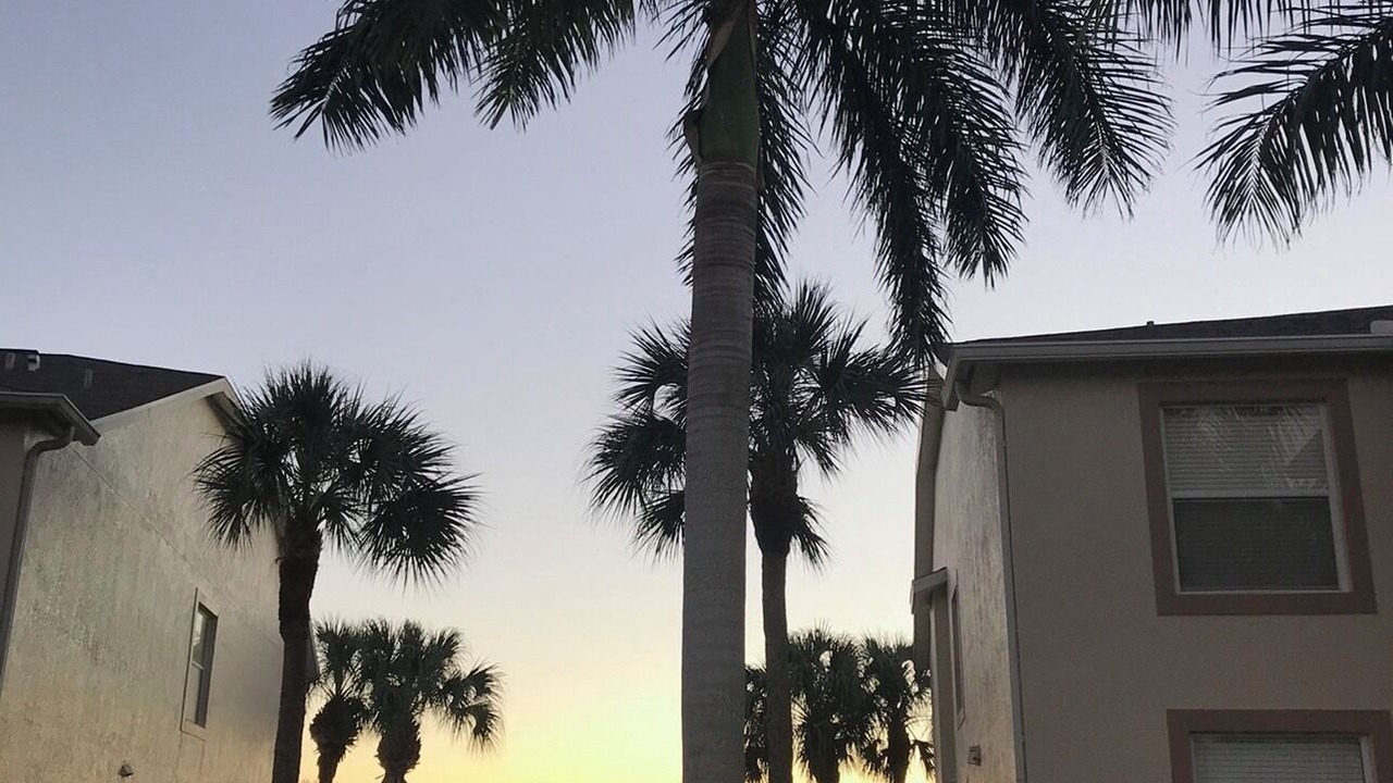 Photo of Outdoor in Stoneybrook