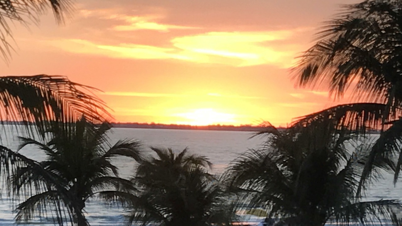 Photo of Others in Fort Myers Beach